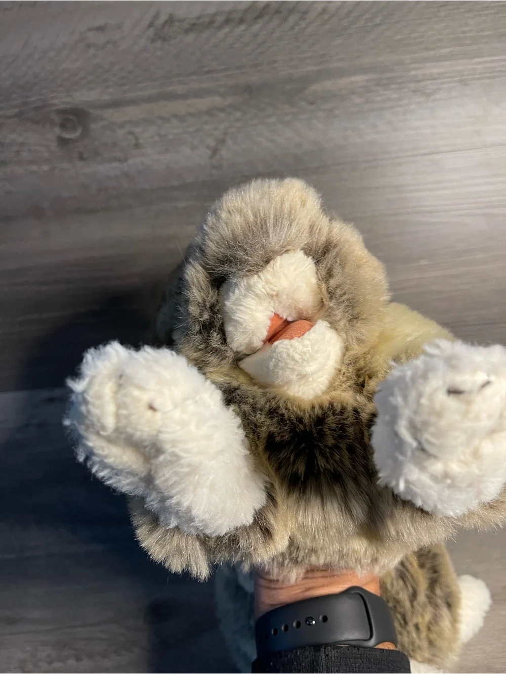 Folkmanis HOLLAND LOP RABBIT 18